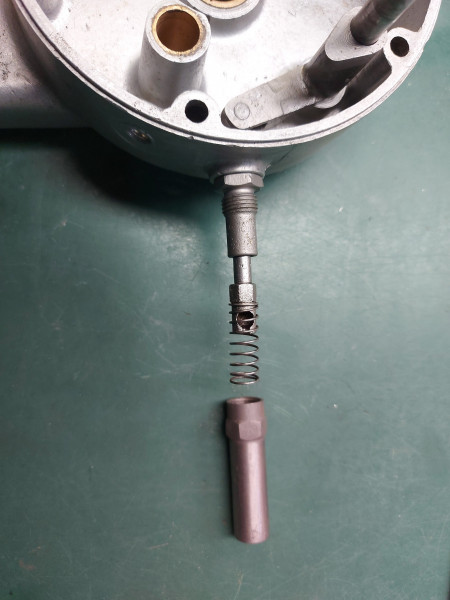 spring inside valve lifter.jpg