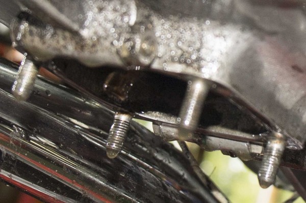 IMG_81621 lowres.jpg