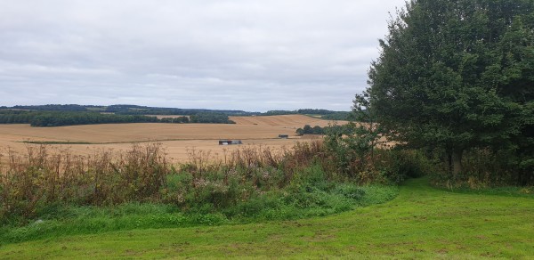 2021-08-20 07.45.26.jpg