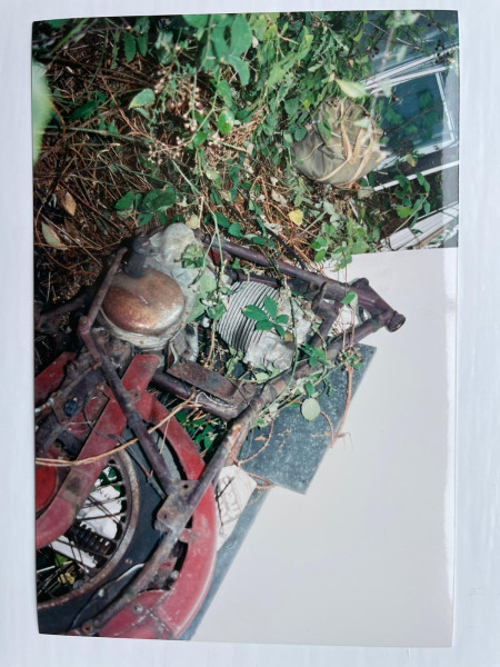 Found in a bramble bush 1992 (click on images &amp; they are correct way round)