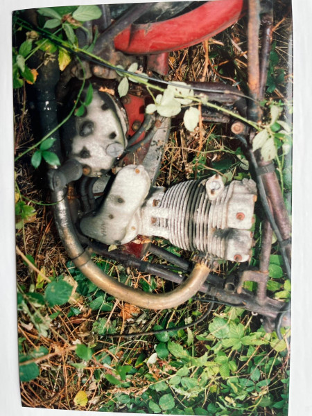 Found in a bramble bush 1992