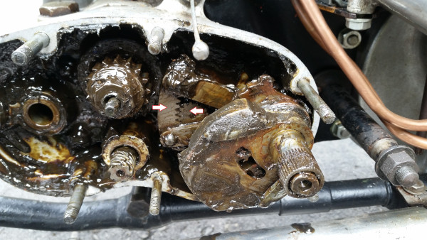 selector indexing.jpg