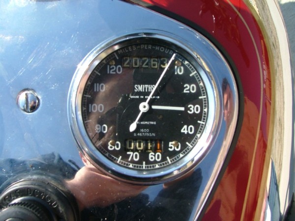 speedo.jpg